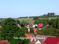Blick vom Kirchberg über den Ort Trautenstein
